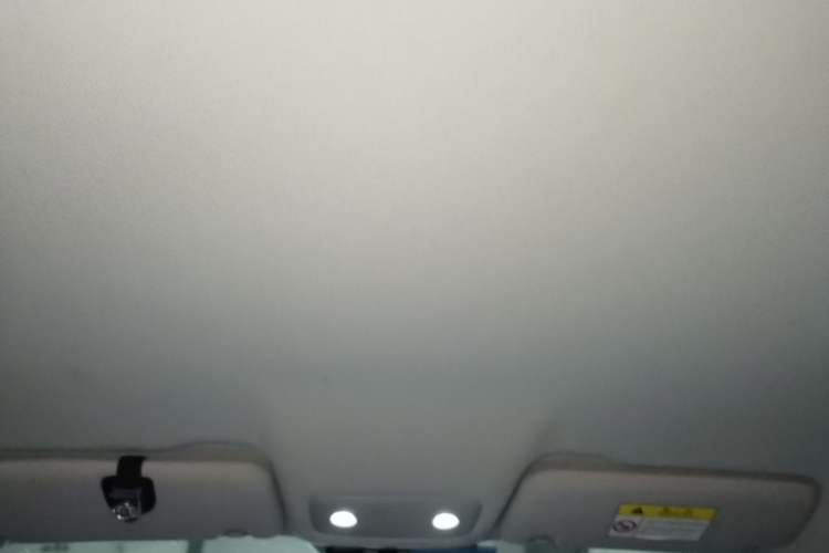 Used Leapmotor T03 2022 Crystal Edition Headliner