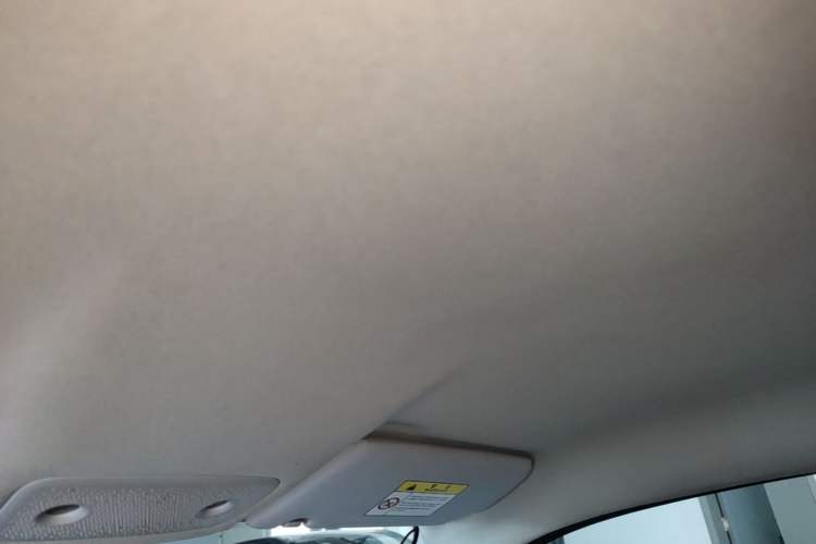 Used Leapmotor T03 2022 Special Edition Headliner
