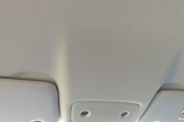 Used Leapmotor T03 2022 Crystal Edition Headliner