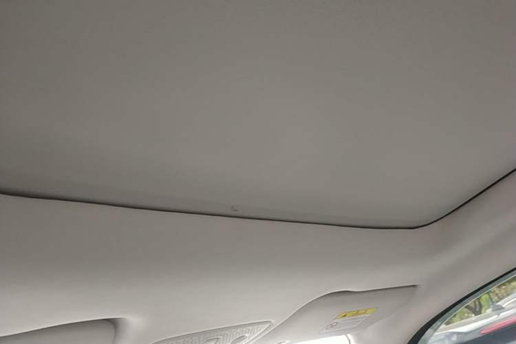 Used Leapmotor T03 2022 Star Diamond Edition Headliner