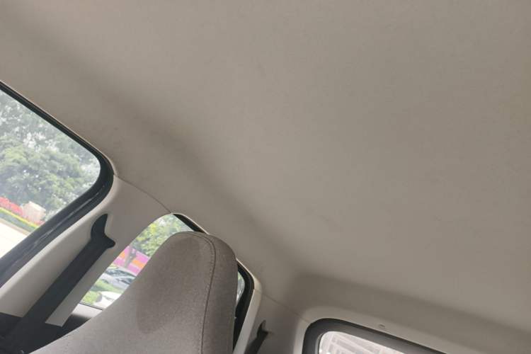 Used Leapmotor T03 2022 Crystal Edition Headliner