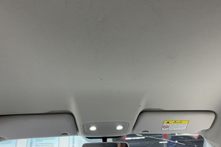 Used Leapmotor T03 2022 Hometown Jade Edition Headliner