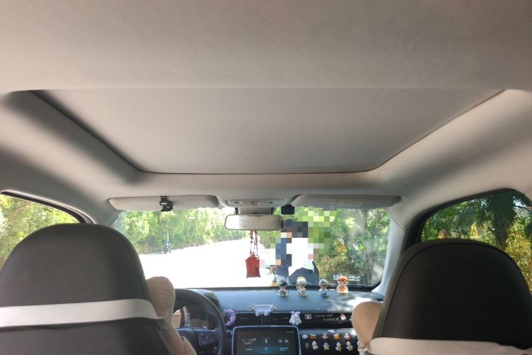 Used Leapmotor T03 2022 Star Diamond Edition Headliner