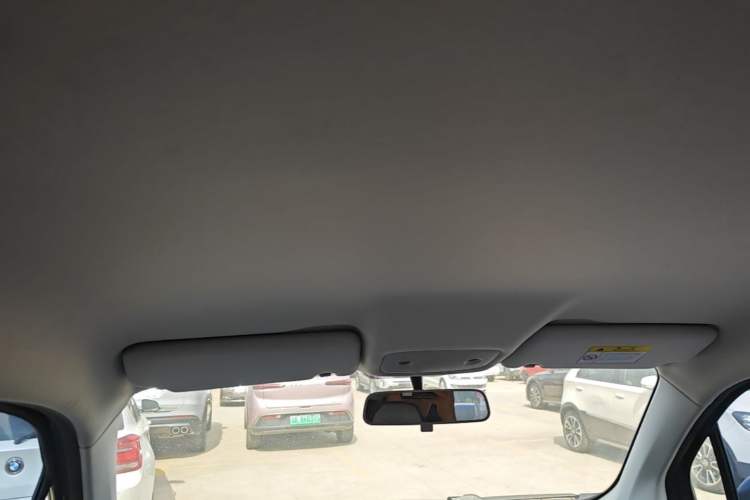 Used Leapmotor T03 2022 Agate Edition Headliner