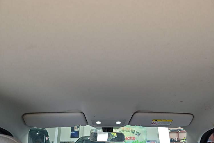 Used Leapmotor T03 2022 Hometown Jade Edition Headliner