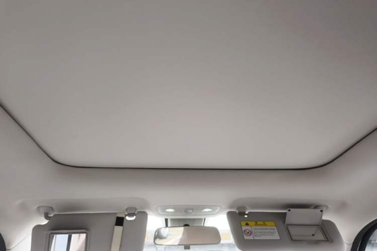 Used Leapmotor T03 2022 Crystal Edition Headliner