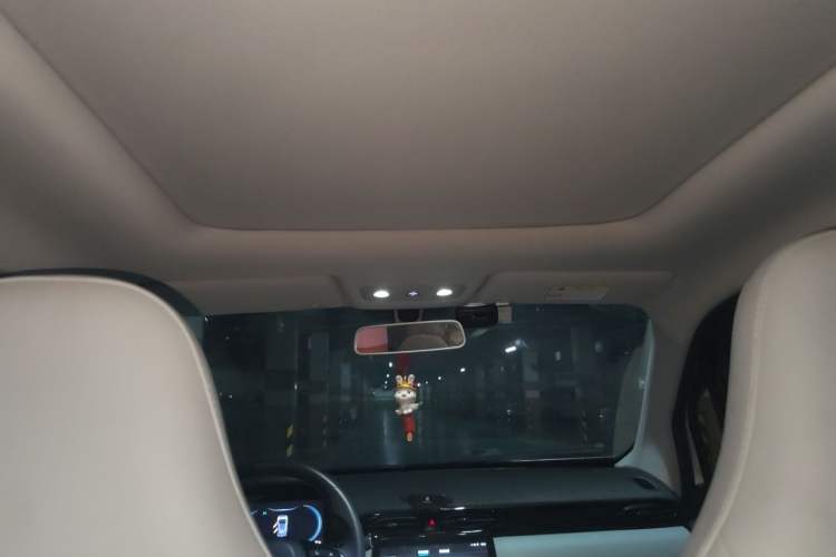 Used Leapmotor T03 2022 YAOJIN Edition Headliner