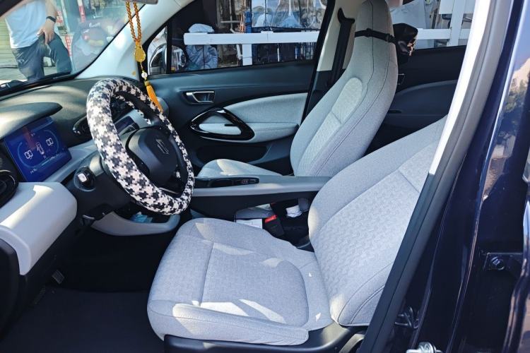 Used Leapmotor T03 2022 Crystal Edition Left Front Seat