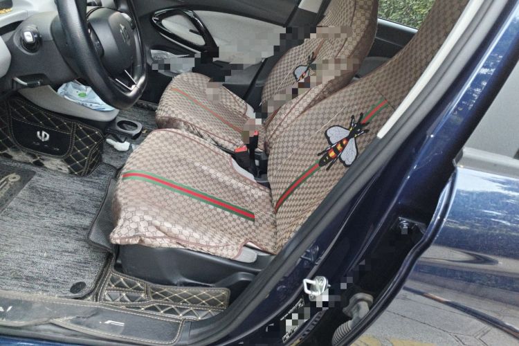 Used Leapmotor T03 2022 Hometown Jade Edition Left Front Seat