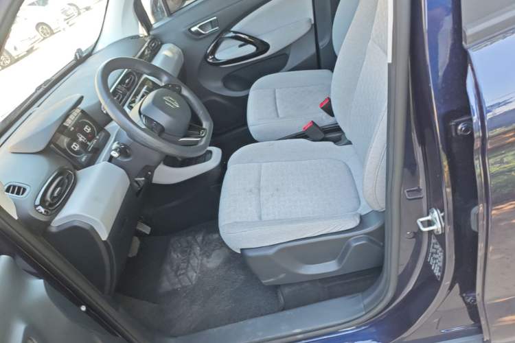 Used Leapmotor T03 2022 Crystal Edition Left Front Seat