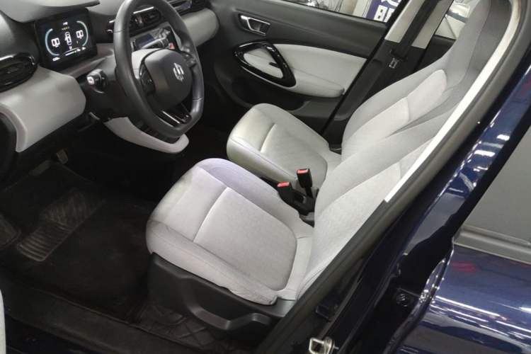 Used Leapmotor T03 2022 Crystal Edition Left Front Seat