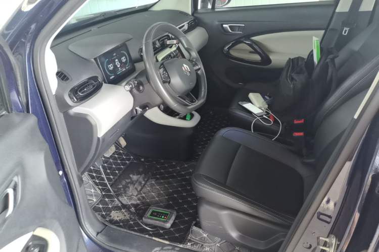 Used Leapmotor T03 2022 Crystal Edition Left Front Seat