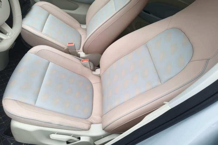 Used Leapmotor T03 2022 Crystal Edition Left Front Seat