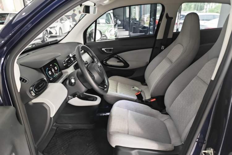 Used Leapmotor T03 2022 Crystal Edition Left Front Seat