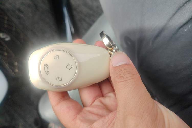Used Leapmotor T03 2022 YAOJIN Edition Vehicle Key