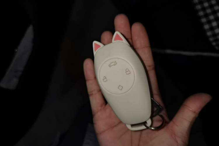 Used Leapmotor T03 2022 Crystal Edition Vehicle Key