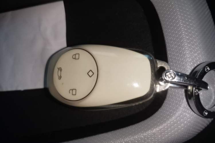 Used Leapmotor T03 2022 Crystal Edition Vehicle Key
