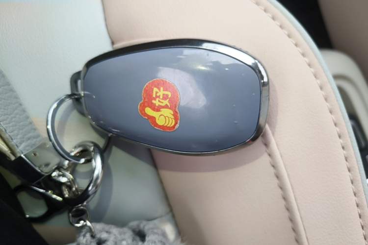 Used Leapmotor T03 2022 Crystal Edition Vehicle Key
