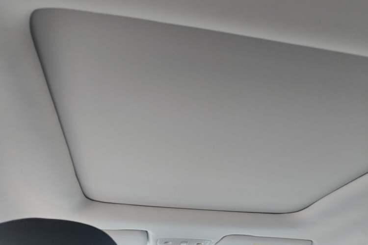 Used Leapmotor T03 2022 Pearl Edition Headliner