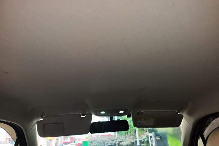 Used Leapmotor T03 2022 Crystal Edition Headliner