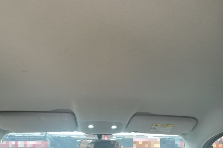 Used Leapmotor T03 2022 Crystal Edition Headliner
