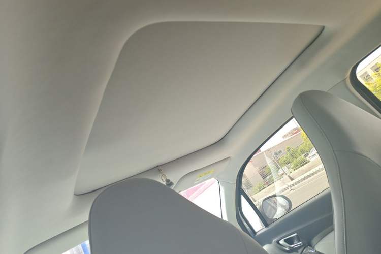 Used Leapmotor T03 2022 YAOJIN Edition Headliner