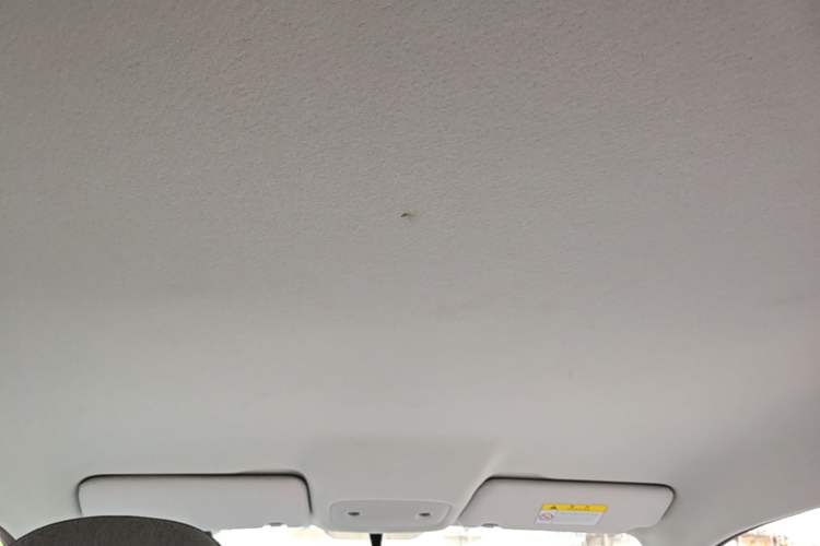 Used Leapmotor T03 2022 Crystal Edition Headliner