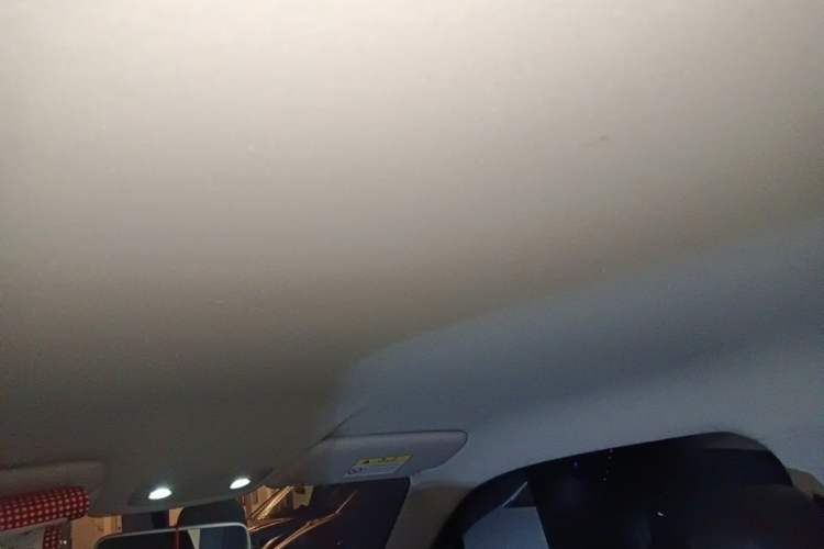 Used Leapmotor T03 2022 Crystal Edition Headliner