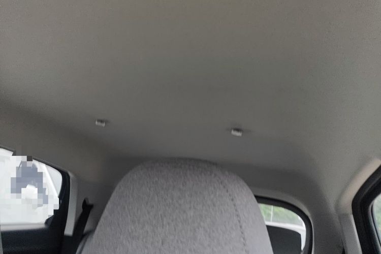 Used Leapmotor T03 2022 Crystal Edition Headliner