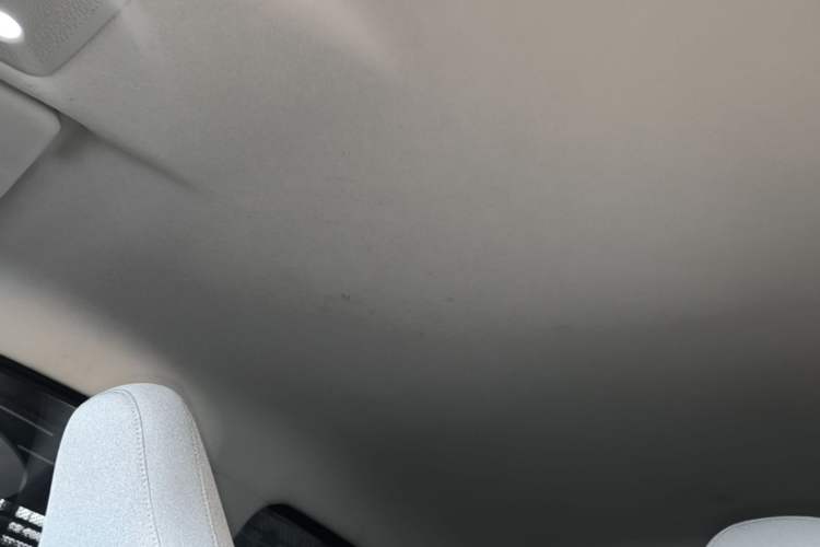 Used Leapmotor T03 2022 Agate Edition Headliner