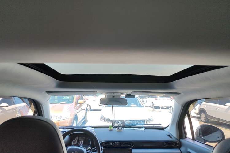 Used Leapmotor T03 2022 Glazed Edition Headliner