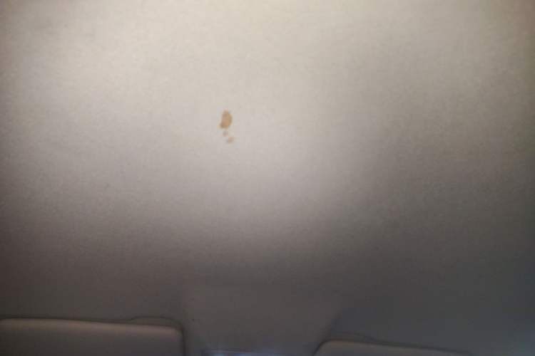 Used Leapmotor T03 2022 Crystal Edition Headliner