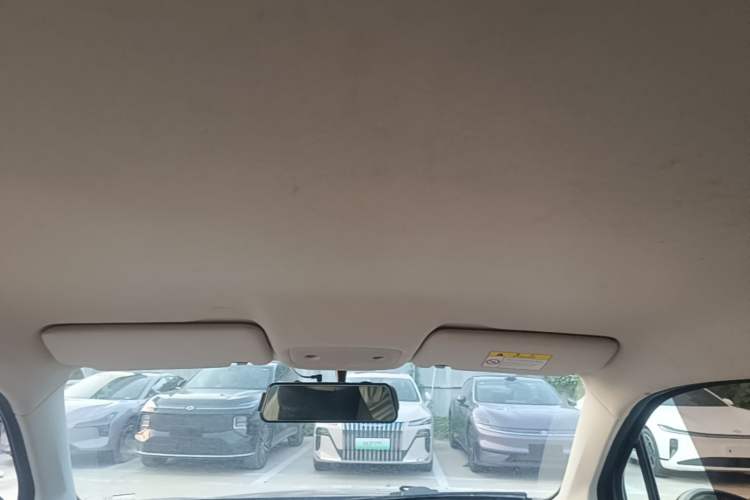 Used Leapmotor T03 2022 Crystal Edition Headliner