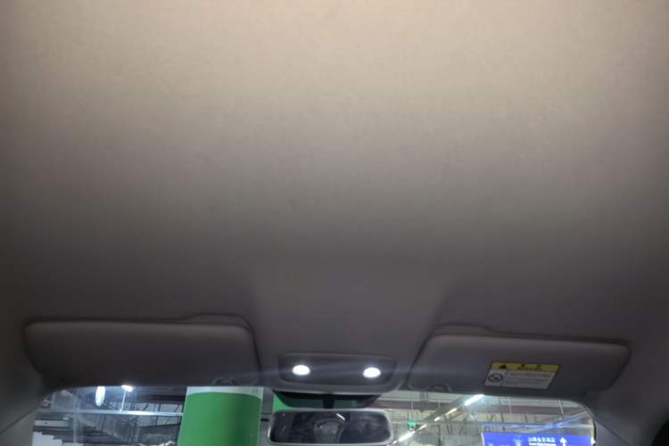 Used Leapmotor T03 2022 Hometown Jade Edition Headliner