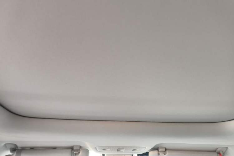 Used Leapmotor T03 2022 Star Diamond Edition Headliner