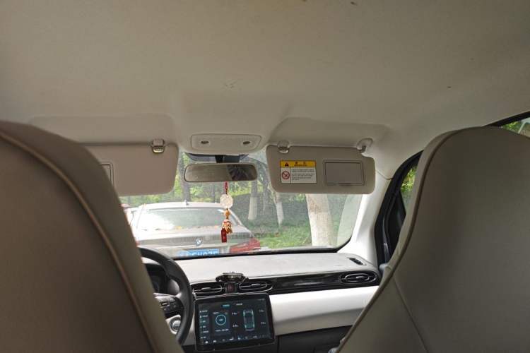 Used Leapmotor T03 2022 Crystal Edition Headliner