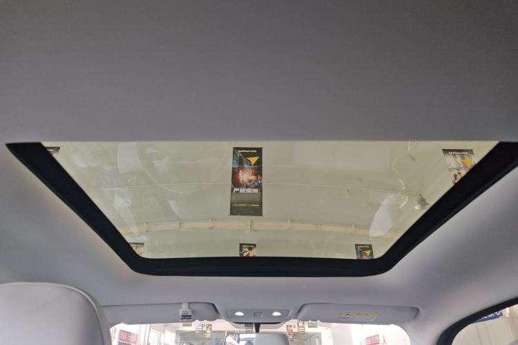 Used Leapmotor T03 2022 YAOJIN Edition Headliner