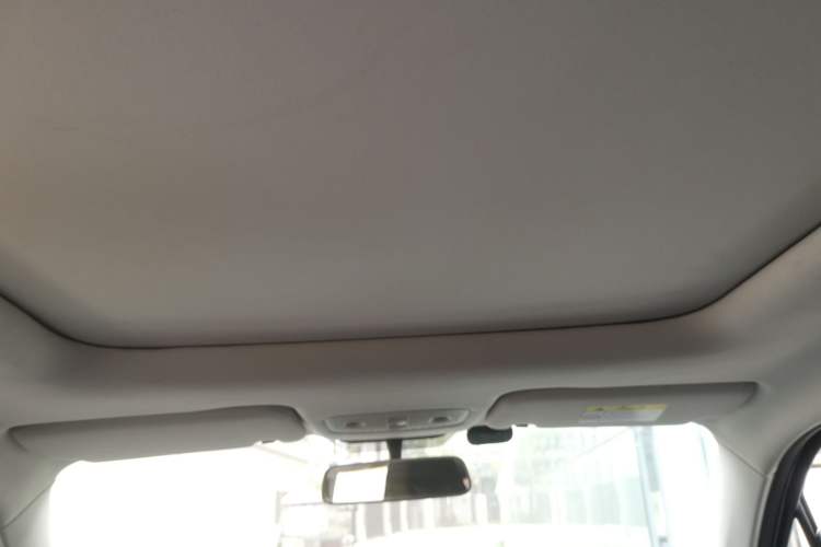 Used Leapmotor T03 2022 YAOJIN Edition Headliner
