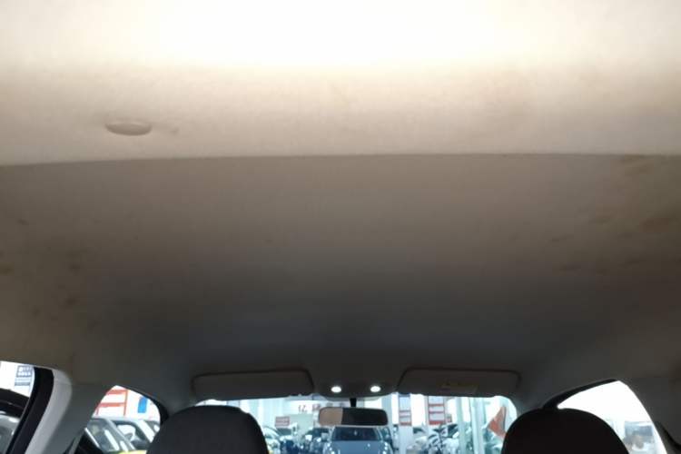 Used Leapmotor T03 2022 Special Edition Headliner