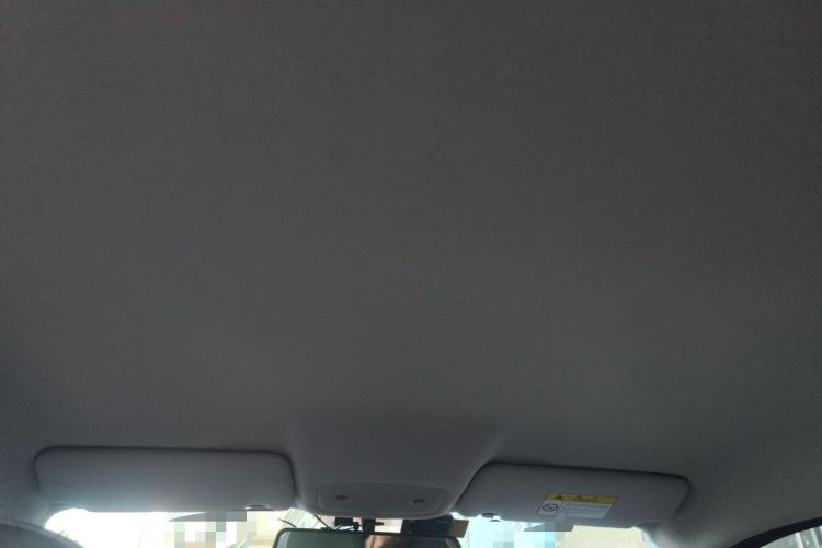 Used Leapmotor T03 2022 Agate Edition Headliner