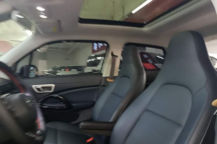 Used Leapmotor T03 2022 Star Diamond Edition Headliner