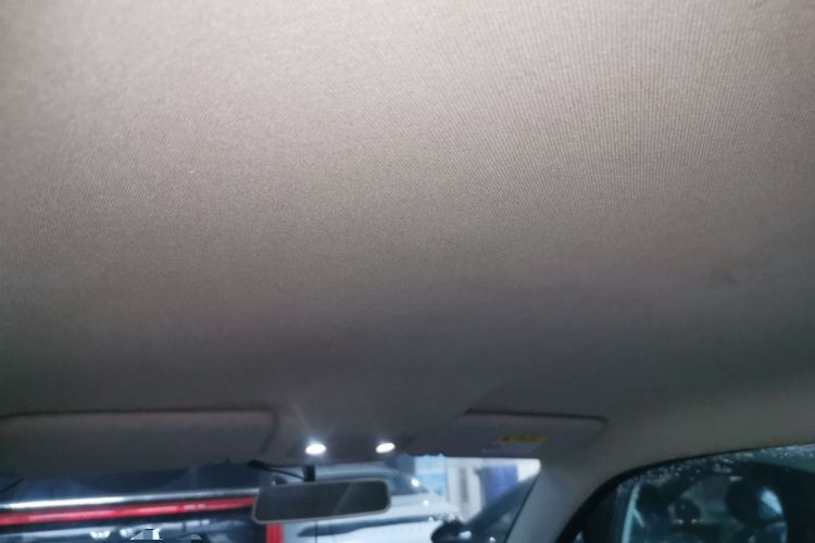 Used Leapmotor T03 2022 Agate Edition Headliner