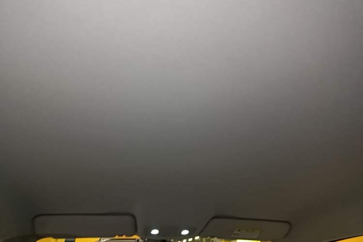 Used Leapmotor T03 2022 Crystal Edition Headliner