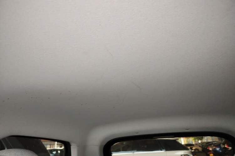 Used Leapmotor T03 2022 Crystal Edition Headliner