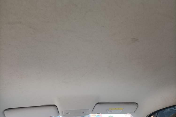 Used Leapmotor T03 2022 Glazed Edition Headliner