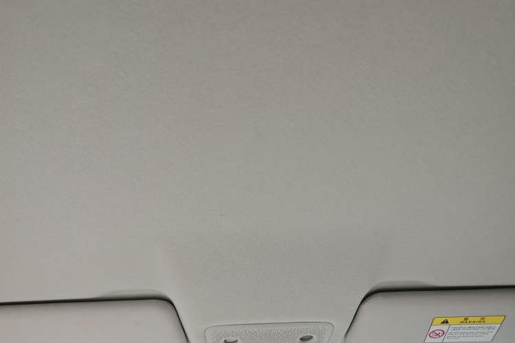 Used Leapmotor T03 2022 Crystal Edition Headliner