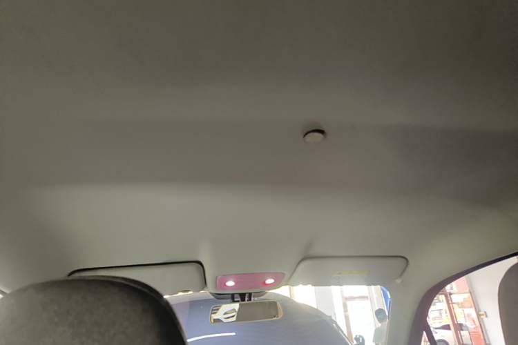 Used Leapmotor T03 2022 Crystal Edition Headliner