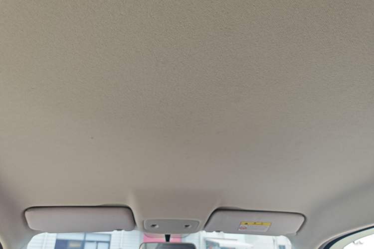 Used Leapmotor T03 2022 Crystal Edition Headliner