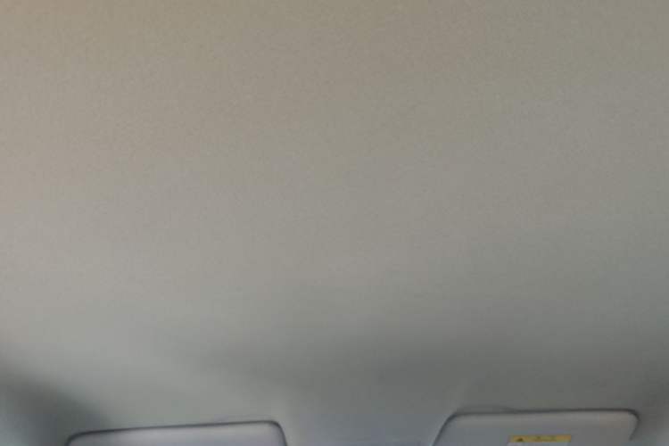Used Leapmotor T03 2022 Pearl Edition Headliner