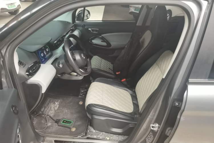 Used Leapmotor T03 2022 Crystal Edition Left Front Seat